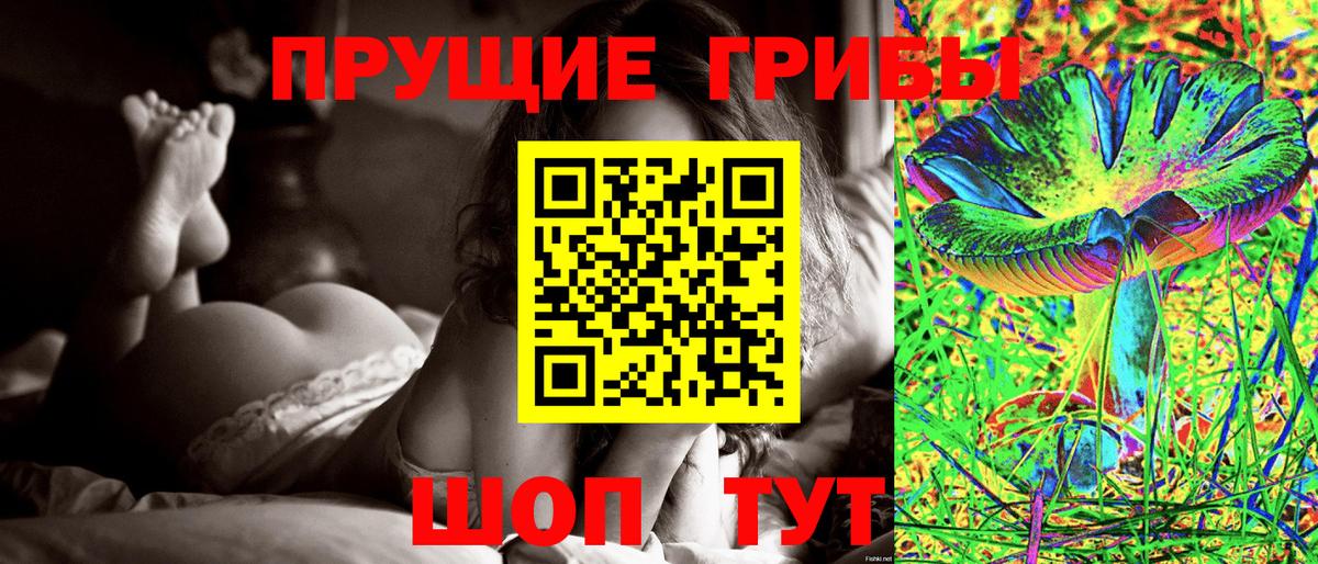 Галлюциногенные грибы Cubensis Фурманов