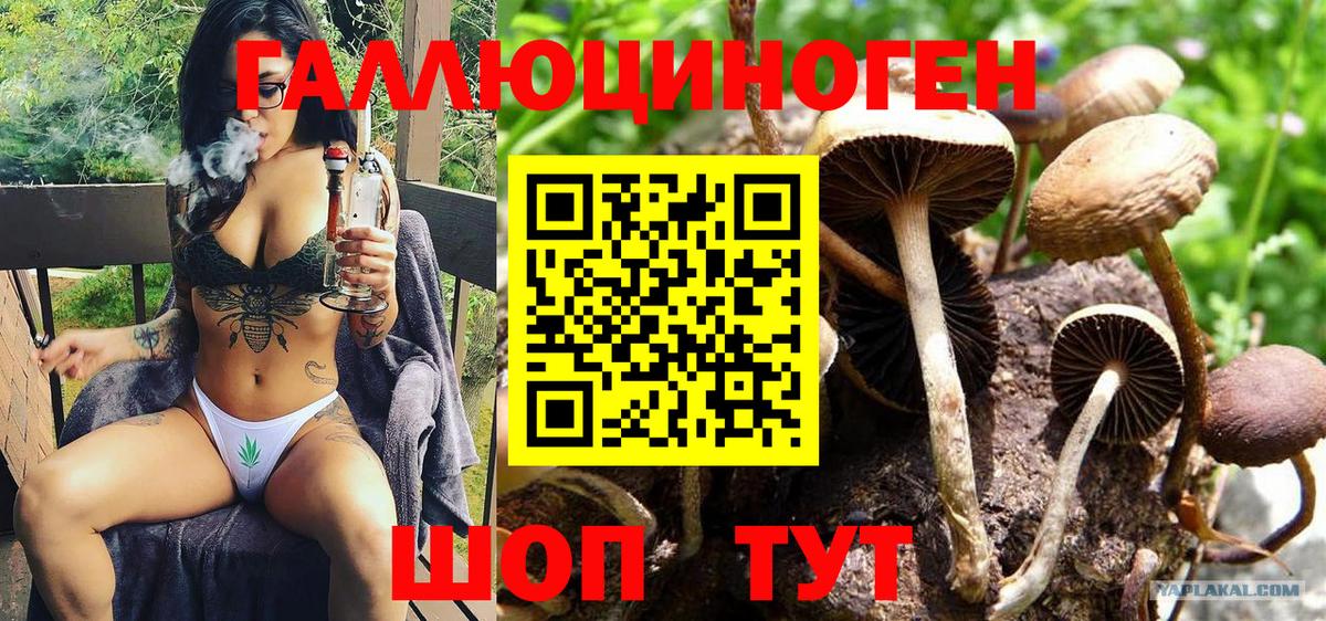 Псилоцибиновые грибы прущие грибы  Вход с VPN  Фурманов 